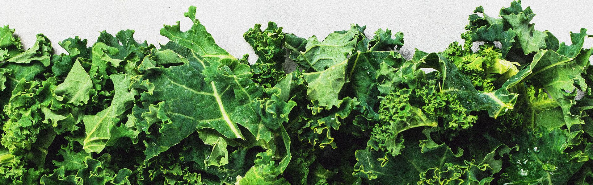 Turn Over a New Leaf–with Kale!